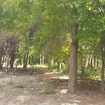 North Star - Sea Balchik