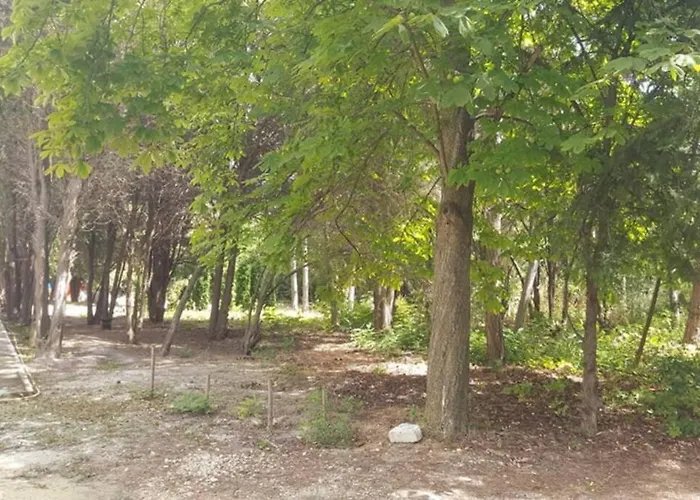 North Star - Sea Balchik